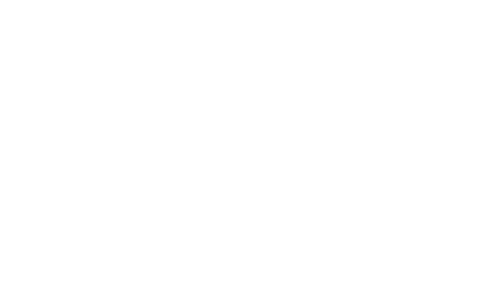Palto Cards